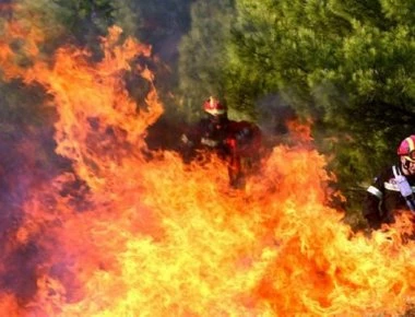 Απανωτές φωτιές στη Σουηδία: Στο έλεος των πυρκαγιών τα δάση της χώρας